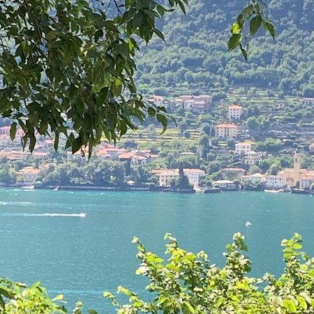 Apartment Casa Dono Il Lago Pognana Lario Bagian luar foto