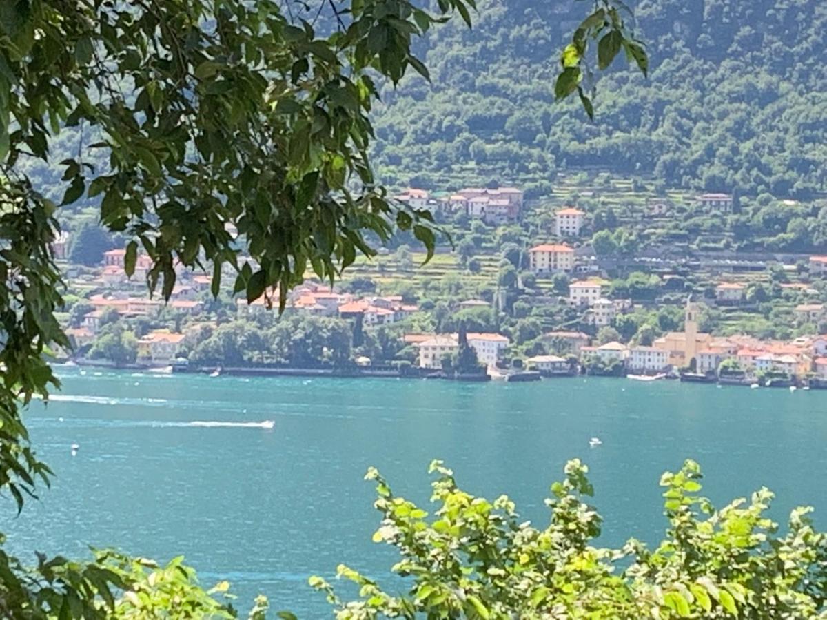 Apartment Casa Dono Il Lago Pognana Lario Bagian luar foto