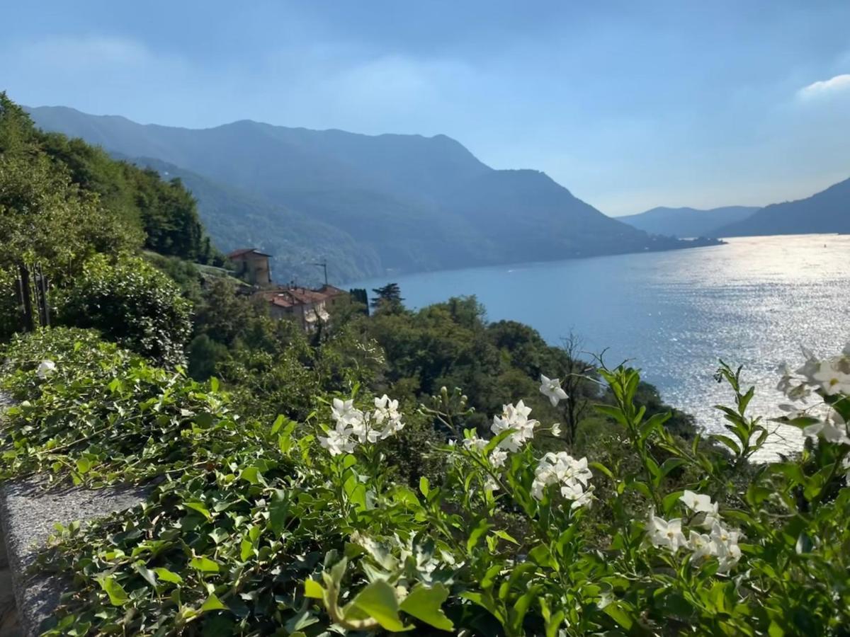 Apartment Casa Dono Il Lago Pognana Lario Bagian luar foto